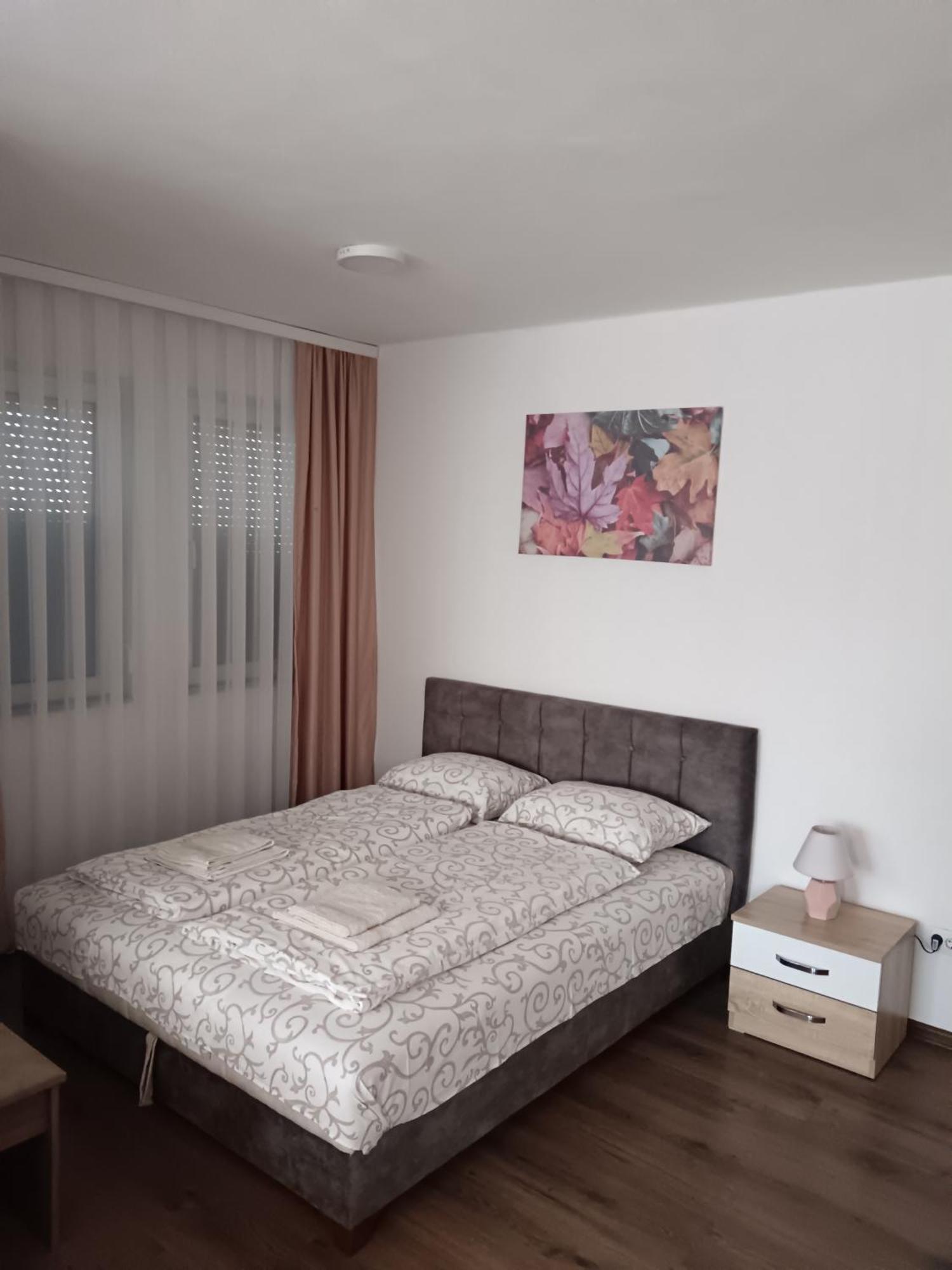 סייניצה Apartmani Centar מראה חיצוני תמונה